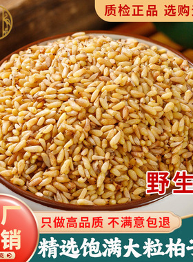 柏子仁中药材500g正品官方旗舰店中药野生茸子柏仔仁泡茶粉炒功效