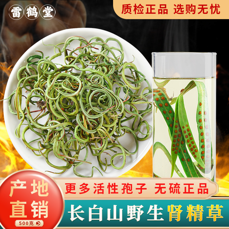 工厂直销野生肾精草新货