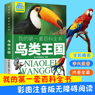 鸟类王国 彩图注音版我的第一套百科全书儿童小学生一二三年级3-10岁无障碍阅读课外书阅读书籍两栖猛禽哺乳冷血多足软体龟鳖动物