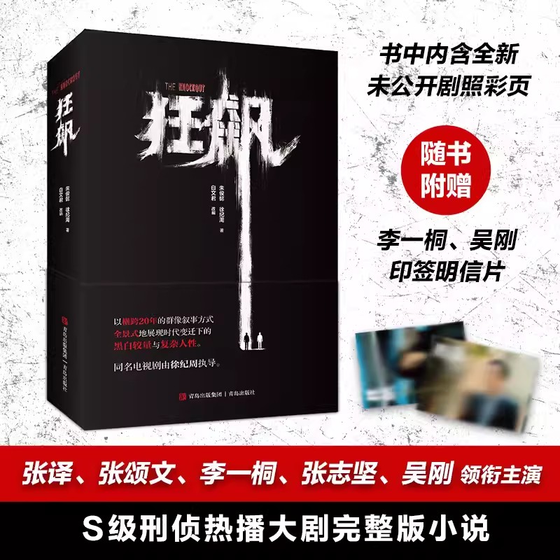 狂飙原著正版小说追问【赠李一桐吴刚印签明信片2张+神秘剧照】徐纪周导演张译张颂文领衔主演狂飙电视剧畅销悬疑推理犯罪书籍书籍