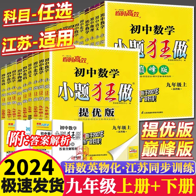 小题狂做提优版巅峰版九年级