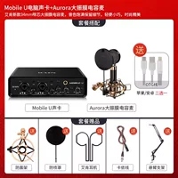 ★ 【Внутренняя】 yan shengjiaoxuan-large-large диафрагма, созданные в флагманских наушниках Aurora Aurora Aurora