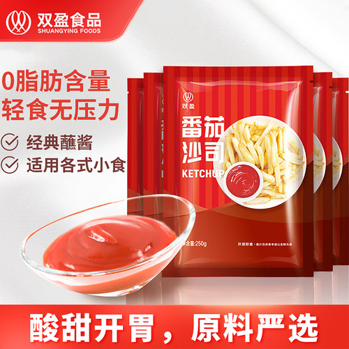 双盈250g小袋专用调味番茄沙司