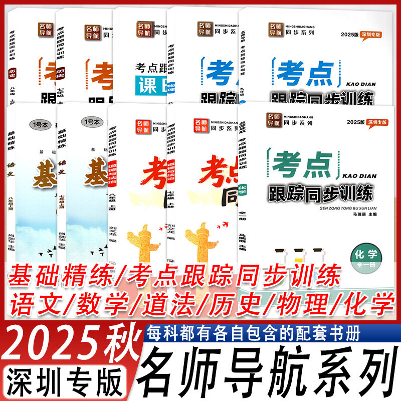 深圳专版基础精练考点跟踪