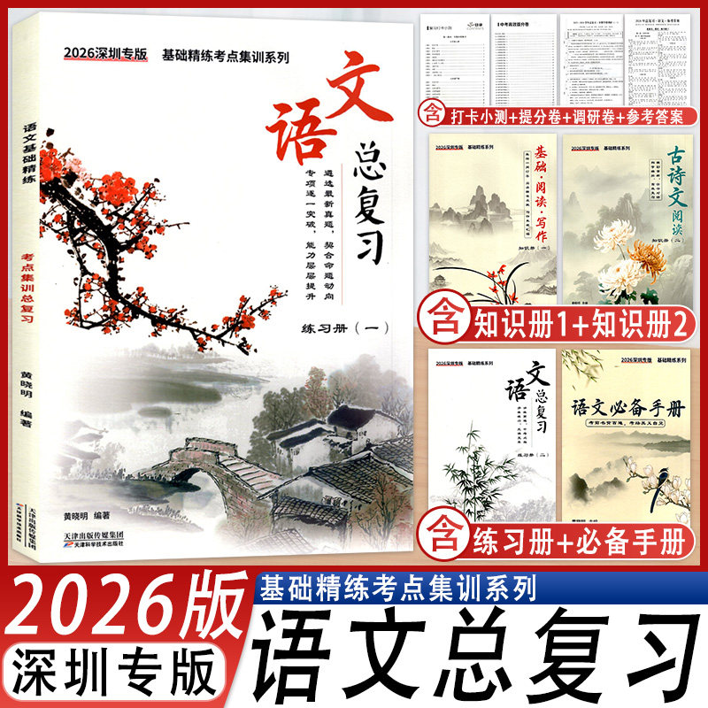 深圳专版语文总复习基础精练