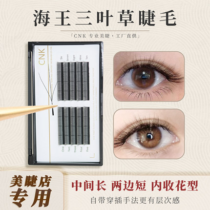 海王三叶草网状编织款混装假睫毛自然妈生款浓密不散根美睫店专用