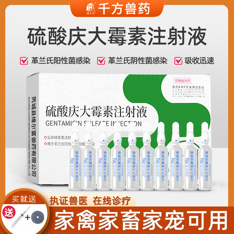 硫酸庆大霉素注射液猫咪狗狗消炎