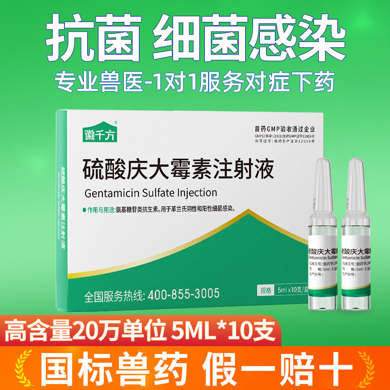 硫酸庆大霉素注射液针剂兽用细菌感染猪牛羊犬猫千方动保正品兽药