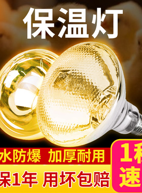 保温灯养殖场专用小鸡育雏烤灯取暖猪场灯泡加热兽用猪舍冬季保暖