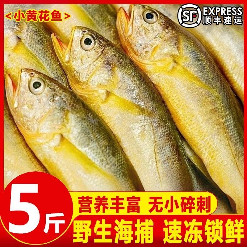 小黄花鱼新鲜冷冻5斤烧烤大黄鱼青岛生鲜活海鱼海鲜整箱商用批发