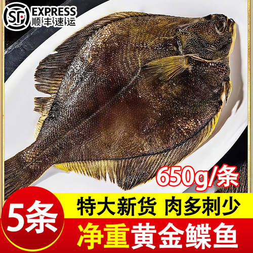 黄金鲽鱼新鲜碟鱼身大号比目鱼蝶鱼新鲜冷冻整条深海鸦片鱼商用