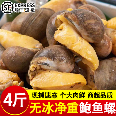 鲍鱼螺鲜活特大号老婆脚新鲜冷冻鲍螺珍珠鲍黄金鲍螺捞汁商用顺丰