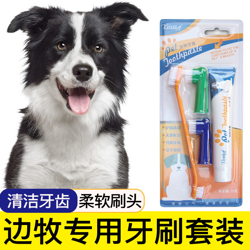 边牧专用狗狗牙刷宠物牙膏套装刷牙清洁用品口腔牙用具指套