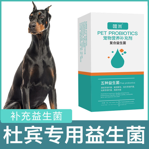 杜宾专用益生菌宠物犬狗狗