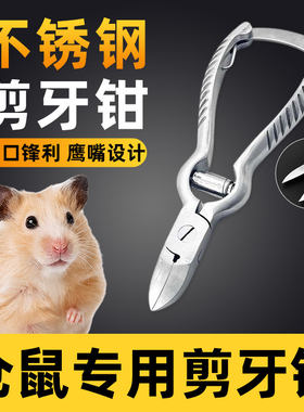 仓鼠专用不锈钢剪牙钳小宠荷兰猪剪牙钳兽用仔猪用断尾兔子剪牙器