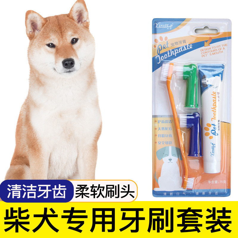 柴犬专用狗狗牙刷宠物牙膏套装刷牙清洁用品口腔牙用具指套