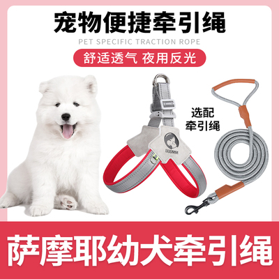 萨摩耶专用狗狗胸背带牵引绳