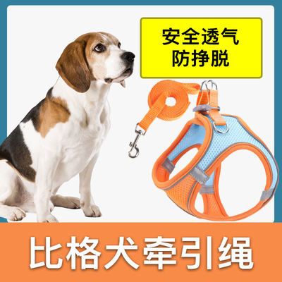 比格犬专用牵引绳背心式