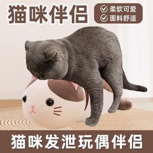 公猫交配玩具发泄泻火性猫咪伴侣发情期用品陪睡宠物假母猫解闷