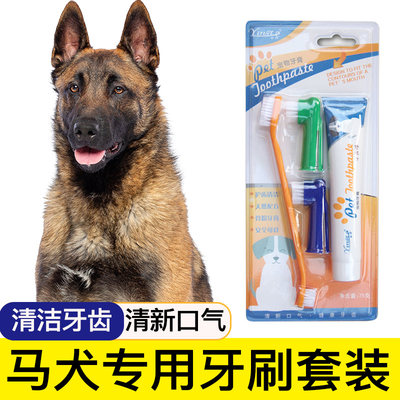 马犬专用狗狗牙刷宠物牙膏套装刷牙清洁用品口腔牙用具指套