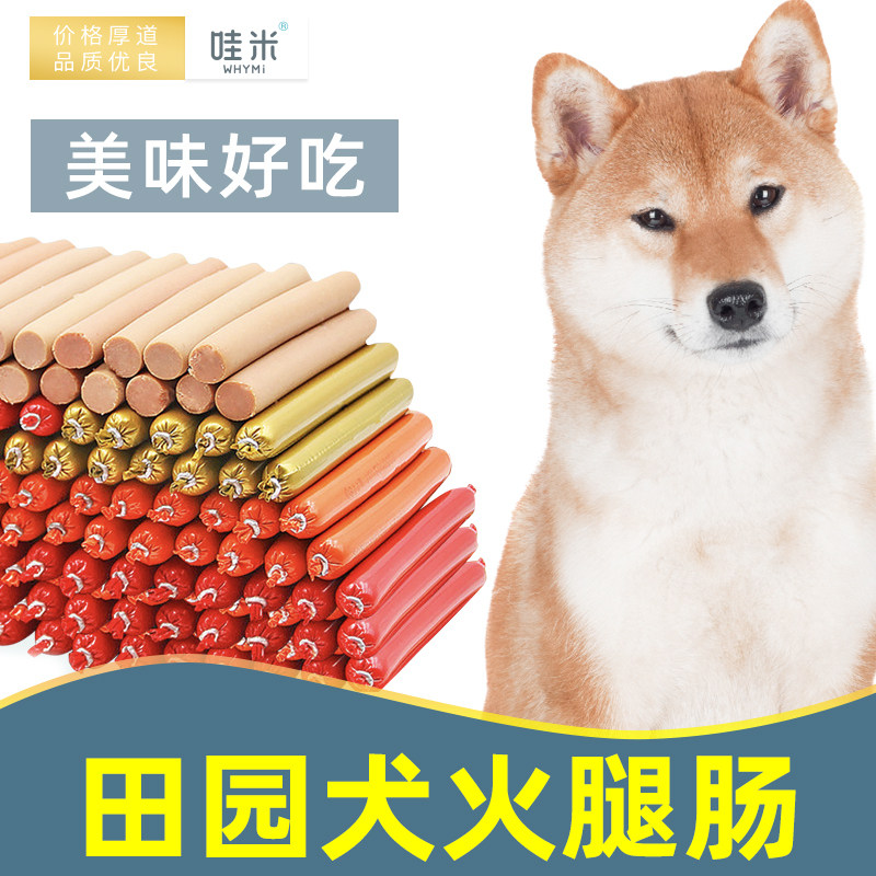 中华田园犬土狗犬用零食火腿肠香肠小型幼犬狗狗吃的2个月奶狗