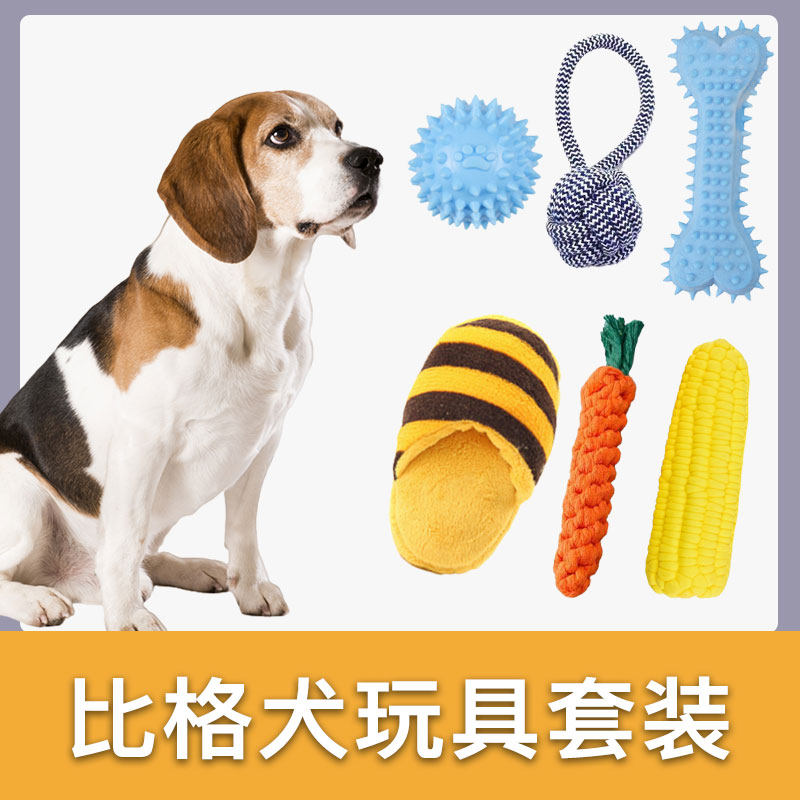 比格犬专用玩具套装耐咬发声宠物狗磨牙玩具小型犬解闷幼犬用品