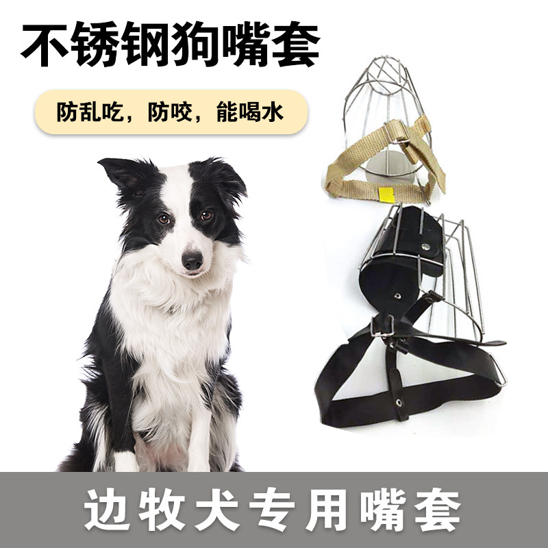 边牧犬专用不锈钢狗嘴套防咬防叫防乱吃破坏嘴罩口罩大小型犬使用感如何?