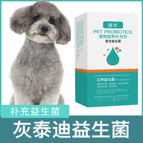 灰泰迪专用益生菌宠物犬狗狗