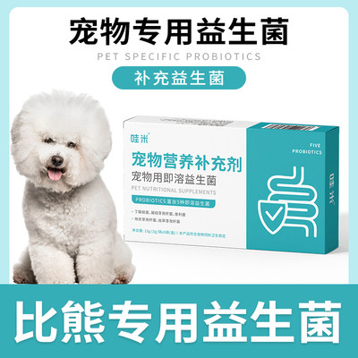 比熊犬益生菌小狗狗宠物成幼犬