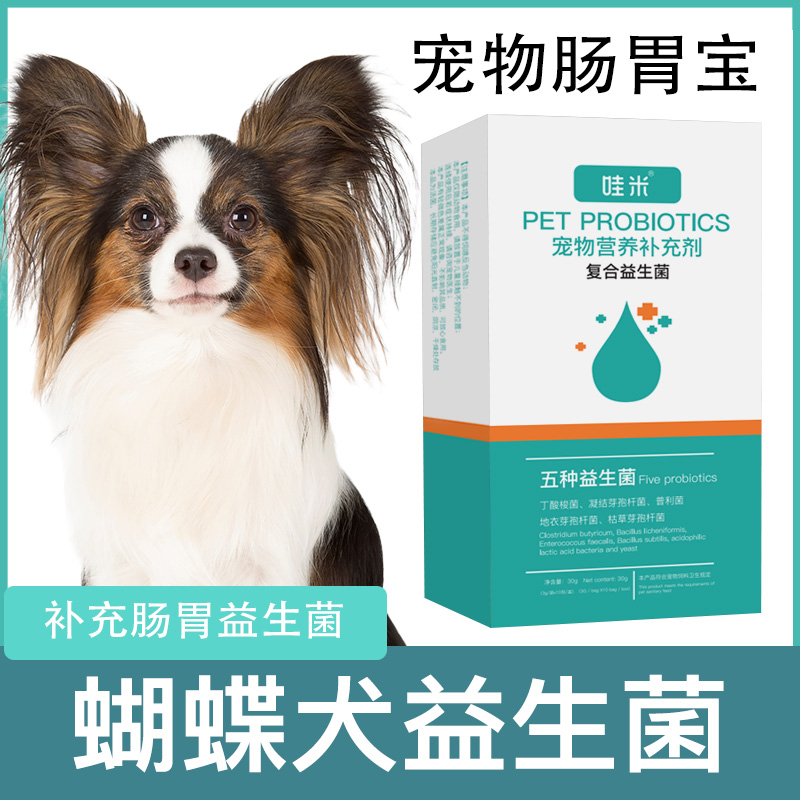 蝴蝶犬专用益生菌狗狗肠胃消化