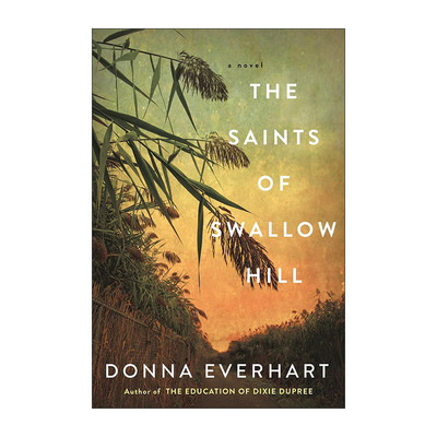 英文原版 The Saints of Swallow Hill 燕子山的圣徒 大萧条时期历史小说 Donna Everhart 英文版 进口英语原版书籍