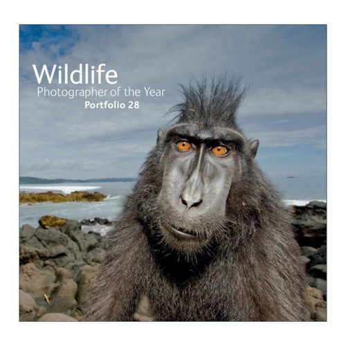 英文原版 Wildlife Photographer of the Year Portfolio 28 年度野生动物摄影师作品集 第28卷 精装 英文版 进口英语原版书籍