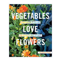 英文原版 Vegetables Love Flowers 蔬菜恋上花 绿色植物种植 英文版 进口英语原版书籍