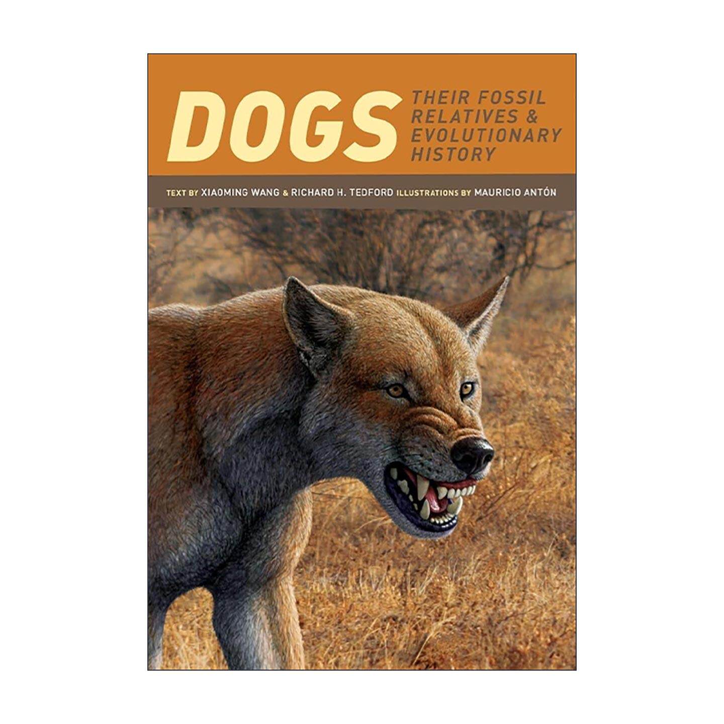 英文原版 Dogs 犬类和它们的化石近亲 王晓鸣 哥伦比亚大学出版社 英文版 进口英语原版书籍