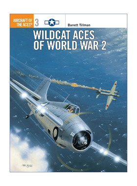 英文原版 Wildcat Aces of World War 2 二战美国野猫战斗机 王牌飞行员系列 英文版 进口英语原版书籍