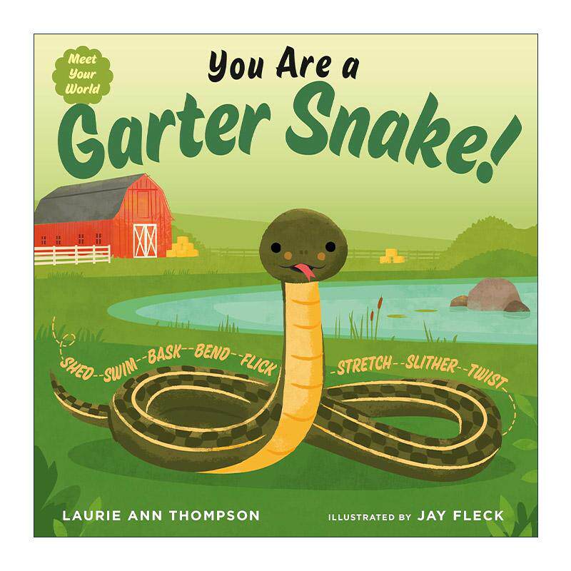 英文原版 You Are a Garter Snake Meet Your World 遇见你的世界 你是一条袜带蛇 STEM 儿童精装动物科普百科绘本 英文版