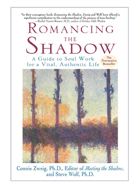 英文原版 Romancing the Shadow 浪漫的阴影 为充满活力并真实生活的灵魂工作指南 心理学 Steven Wolf 英文版 进口英语原版书籍