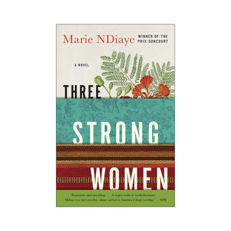 英文原版 Three Strong Women 三个折不断的女人 国际IMPAC都柏林文学奖长名单 Marie NDiaye 英文版 进口英语原版书籍