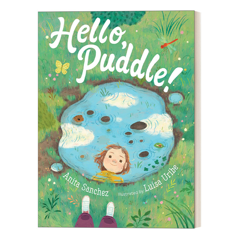 英文原版绘本 Hello Puddle 你好小水塘 精装儿童绘本图画书 Anita Sanchez 英文版 进口英语原版书籍