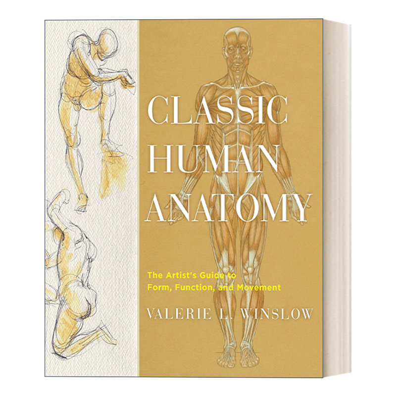 英文原版 Classic Human Anatomy 经典人体解剖学 形式 功能和运动的艺术家指南 绘画技巧 精装 英文版 进口英语原版书籍