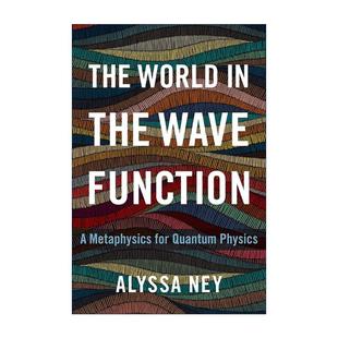 量子物理 英文版 Wave The World 世界 书籍 进口英语原版 阿莉莎·奈伊 英文原版 Function the 精装 波函数中 形而上学