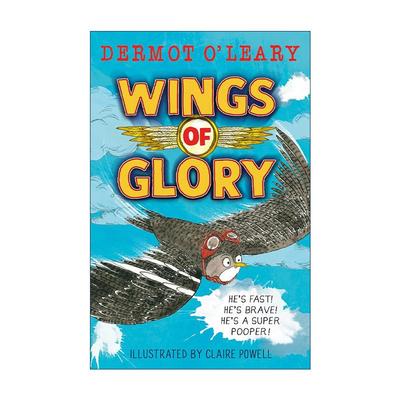 英文原版 Wings of Glory 荣耀之翼 儿童历史友谊小说 黑白插图 英文版 进口英语原版书籍