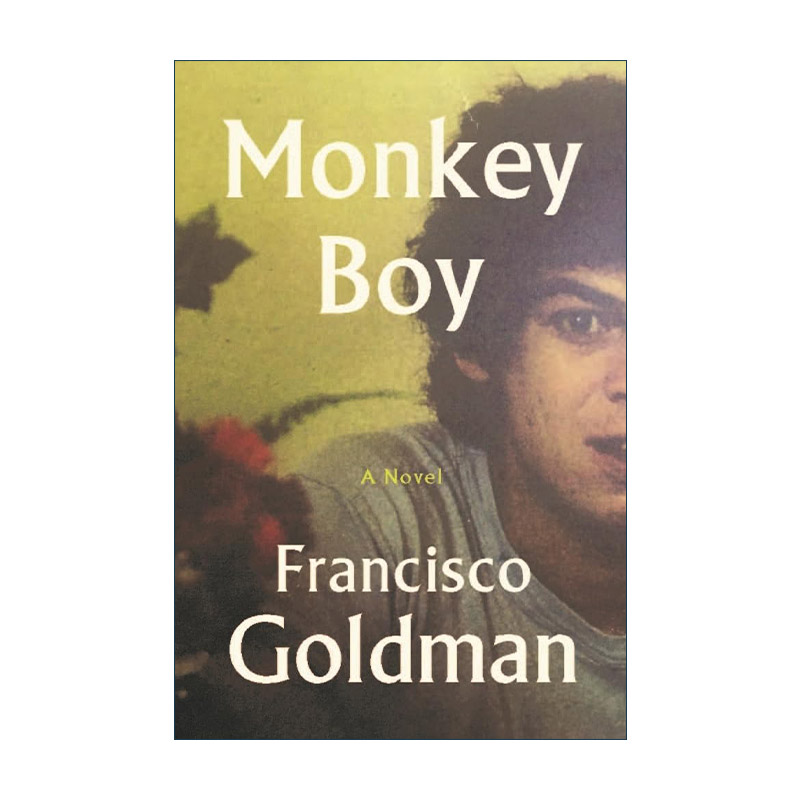 英文原版 Monkey Boy 猴子男孩 弗朗西斯科·戈德曼小说 拉美裔美国文学 英文版 进口英语原版书籍