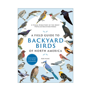 Guide 书籍 进口英语原版 North Field America Backyard 英文版 英文原版 Birds 北美庭院鸟类野外指南