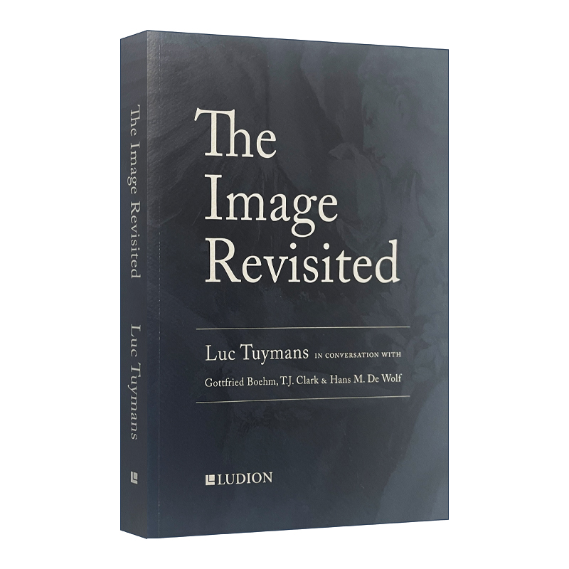 英文原版 Luc Tuymans The Image Revisited 图像再现 吕克·图伊曼斯 艺术史 英文版 进口英语原版书籍