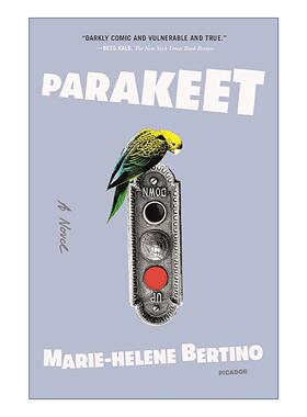 英文原版 Parakeet 鹦鹉 卡内基奖提名 英文版 进口英语原版书籍