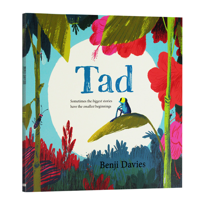 小蝌蚪达德 英文原版 Tad 青蛙达德 本吉戴维斯绘本 Benji Davies 大开本 英文版儿童英语启蒙早教故事书 进口原版书籍