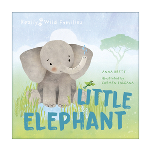 英文原版 Little Elephant A Day in the Life of a Elephant Calf 小象的一天 儿童动物精装绘本 Really Wild Families 进口书籍