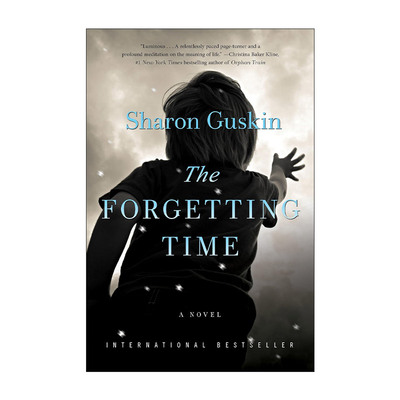 英文原版 The Forgetting Time 遗忘的时光 英文版 进口英语原版书籍