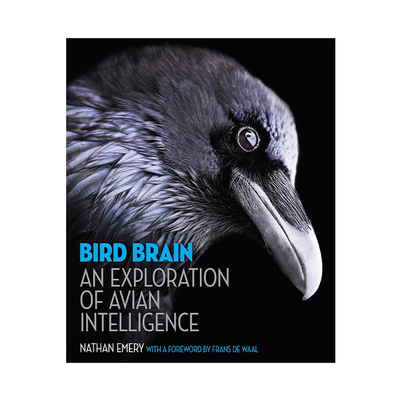 英文原版 Bird Brain 鸟的大脑 鸟类智商的探秘之旅 Nathan Emery内森·埃默里 精装英文版 进口英语原版书籍